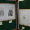 ausstellung-uniarte05