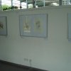 09.06.2011-uni-arte-15