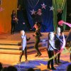 zirkus2013.011