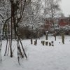 dezember2010-schulgelaende.06